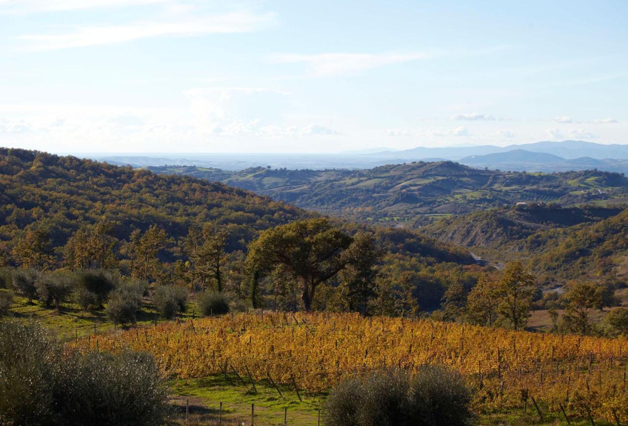 Fattoria La Pieve Βίλα Stribugliano Εξωτερικό φωτογραφία